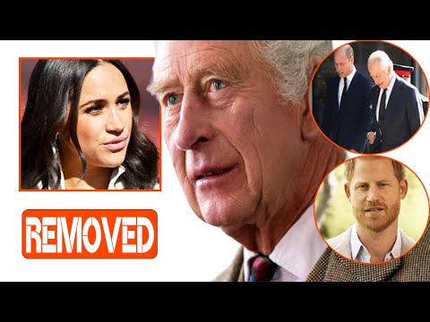 Meghan Fuming As Harry REMOVED From King Charles' Succession Talks With William: Nothing Anymore