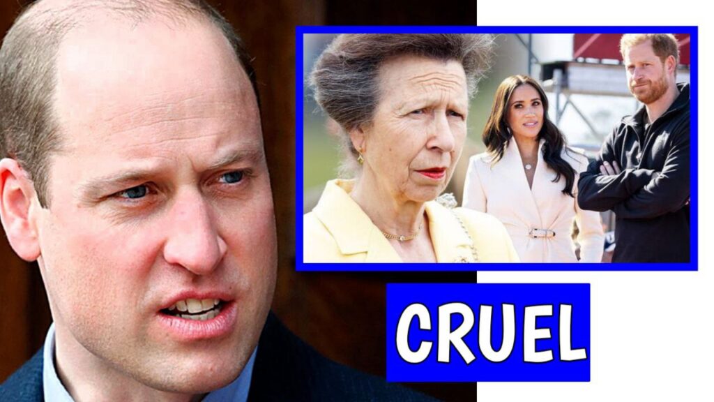 Prince William Disowns Prince Harry For Making Cruel Comment Concerning Their Sick Aunt Princess Anne 