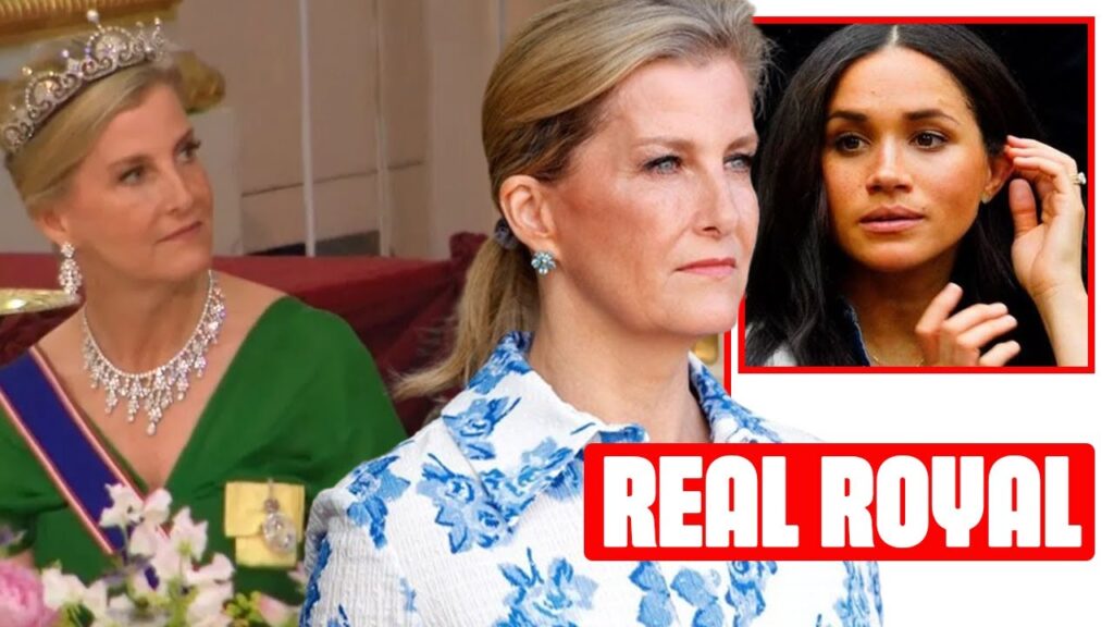 Sophie Wessex Fires WARNING SHOT To Meghan Markle At Japan State Banquet With Princess Catherine's Tiara