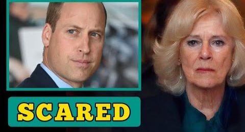 SCARED! Queen Camilla Says She's "AFRAID" Of Prince William Who Merely TOLERATES Her