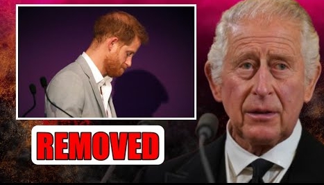 REMOVED! KING CHARLES PRINCE HARRY FROM LINE OF SUCCESSION AFTER DISCUSSIONS WITH PARLIAMENT