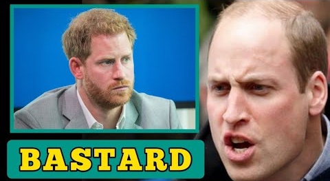 BASTARD! PRINCE HARRY AFTER PRINCE WILLIAM CALLS HIM AT MAJOR ROYAL EVENT