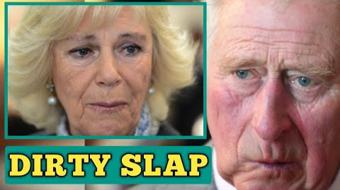 DIRTY SLAP! Princess Anne Disappointed With King Charles For SLAPPING Queen Camilla In Public After She Insulted Him