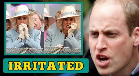 IRRITATED! Prince William Just IRRITATED Queen Camilla By Calling Her A Total OUTSIDER