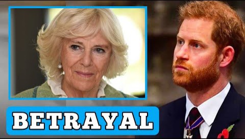 BETRAYAL! Queen Camilla BACKSTAB King Charles And The Royal Family Because Of Prince Harry