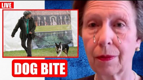 10 MINS AGO! Princess Anne Burst Into TEARS After Been BEATEN By A Dog At An Event In London