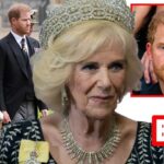 NO MEETING! Queen Camilla CRUSHES Harry's Feeble Attempt At Family Bonding With King Charles